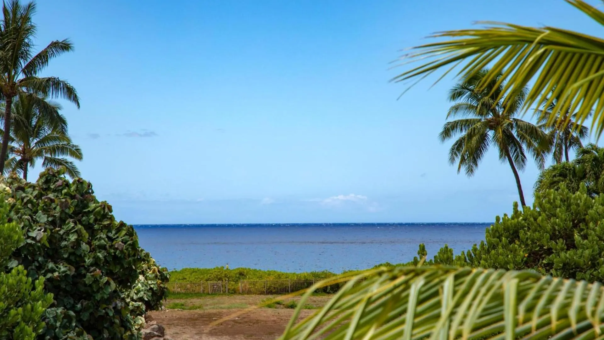 Kbm Resorts Free Car Maui Kaanapali Mkv-C255 Studio Villa 0*,  미국