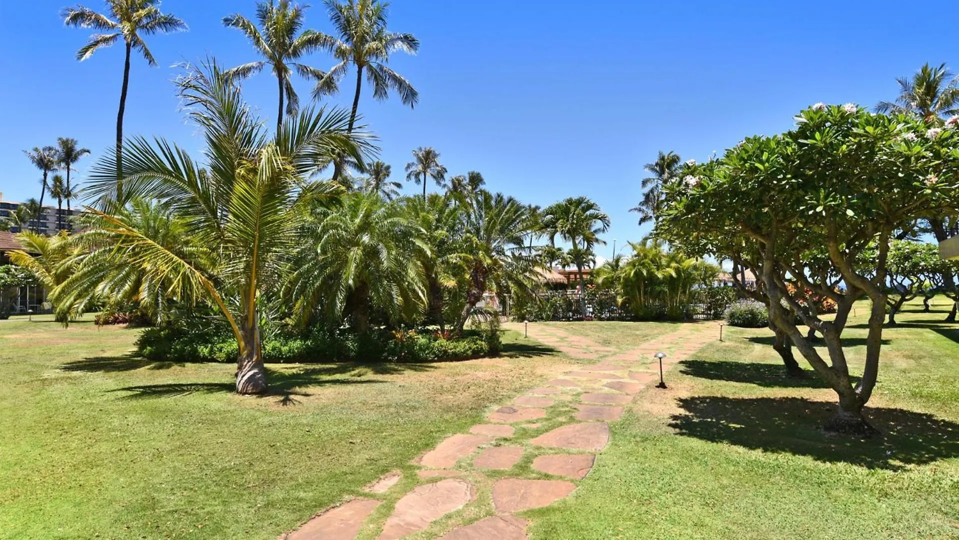 아파트 Kbm Resorts Free Car Maui Kaanapali Mkv-C255 Studio Villa