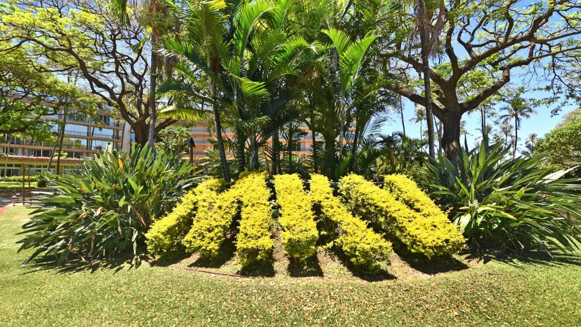 Kbm Resorts Free Car Maui Kaanapali Mkv-C255 Studio Villa 미국